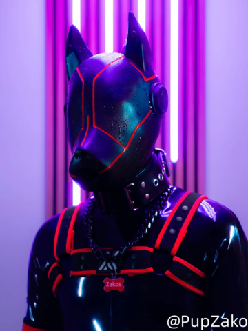 @PupZakos